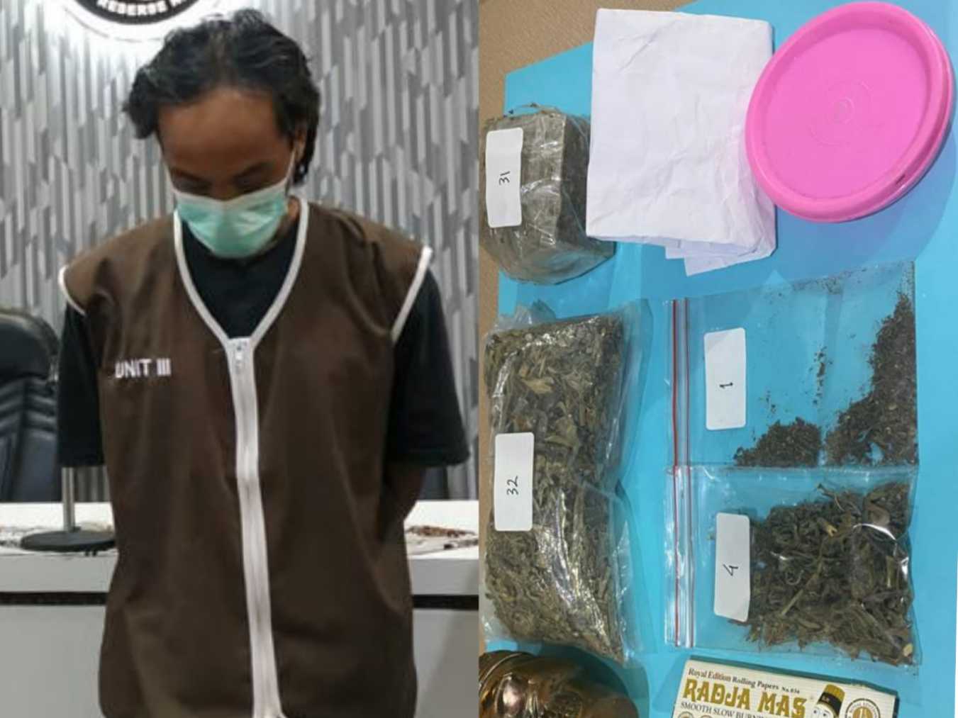 Pemilik ganja warga Sidoarjo yang ditangkap polisi
