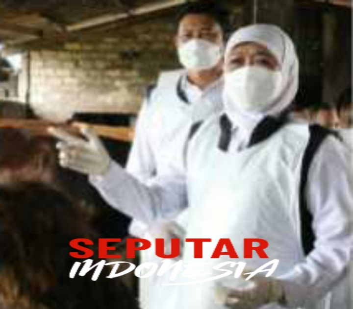 Pasar hewan Lamongan tutup sementara
