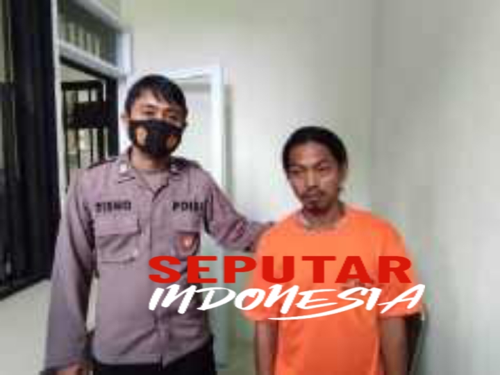 Tersangka percobaan pemerkosaan