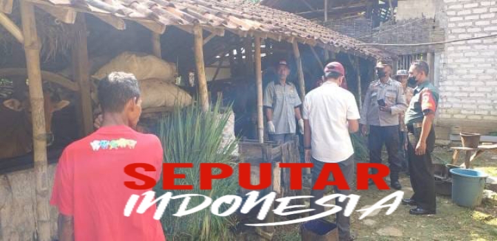 Polisi antisipasi penyebab PMK