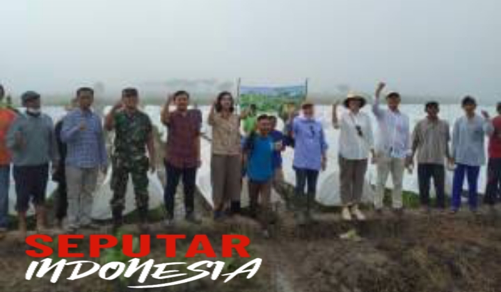 Bupati Bojonegoro salurkan bantuan bibit tembakau 