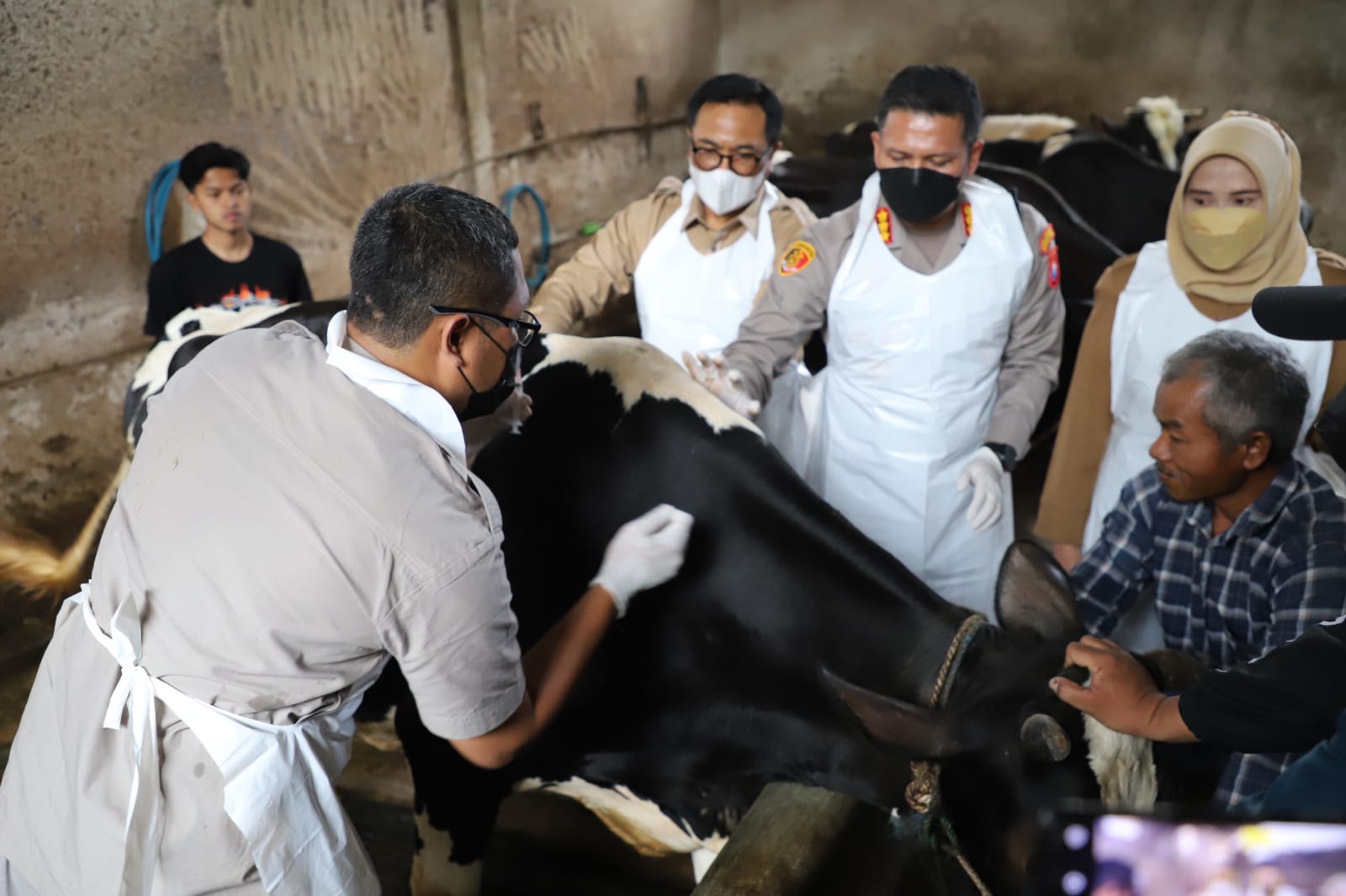 Polresta Malang Kota gelar vaksinasi hewan ternak
