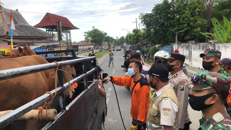 Petugas melakukan penyemprotan cairan desinfiktan hewan ternak