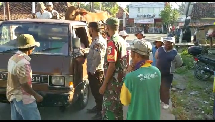 Penyekatan hewan ternak di Pamekasan