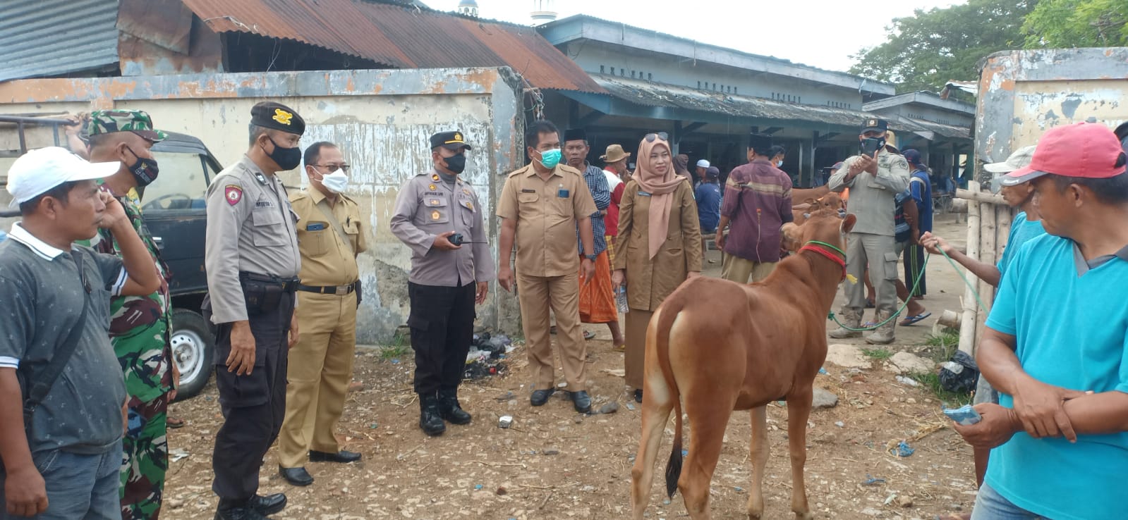 Sosialisasi Antisipasi PMK di Pamekasan