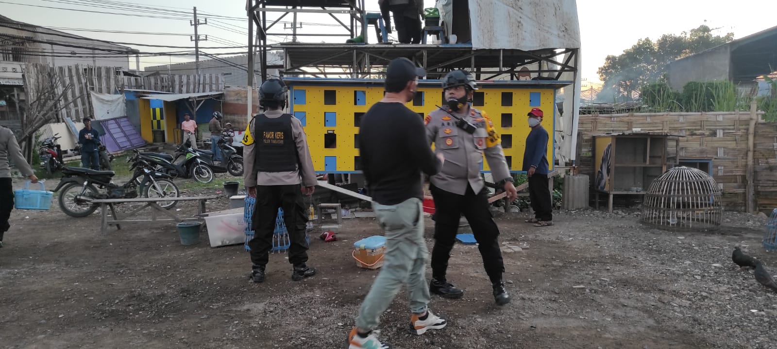 Penertiban arena burung merpati Ploso Surabaya