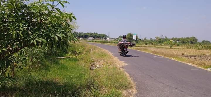 Pembangunan jalan di Bojonegoro 