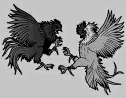 Sabung Ayam (Ilustrasi)