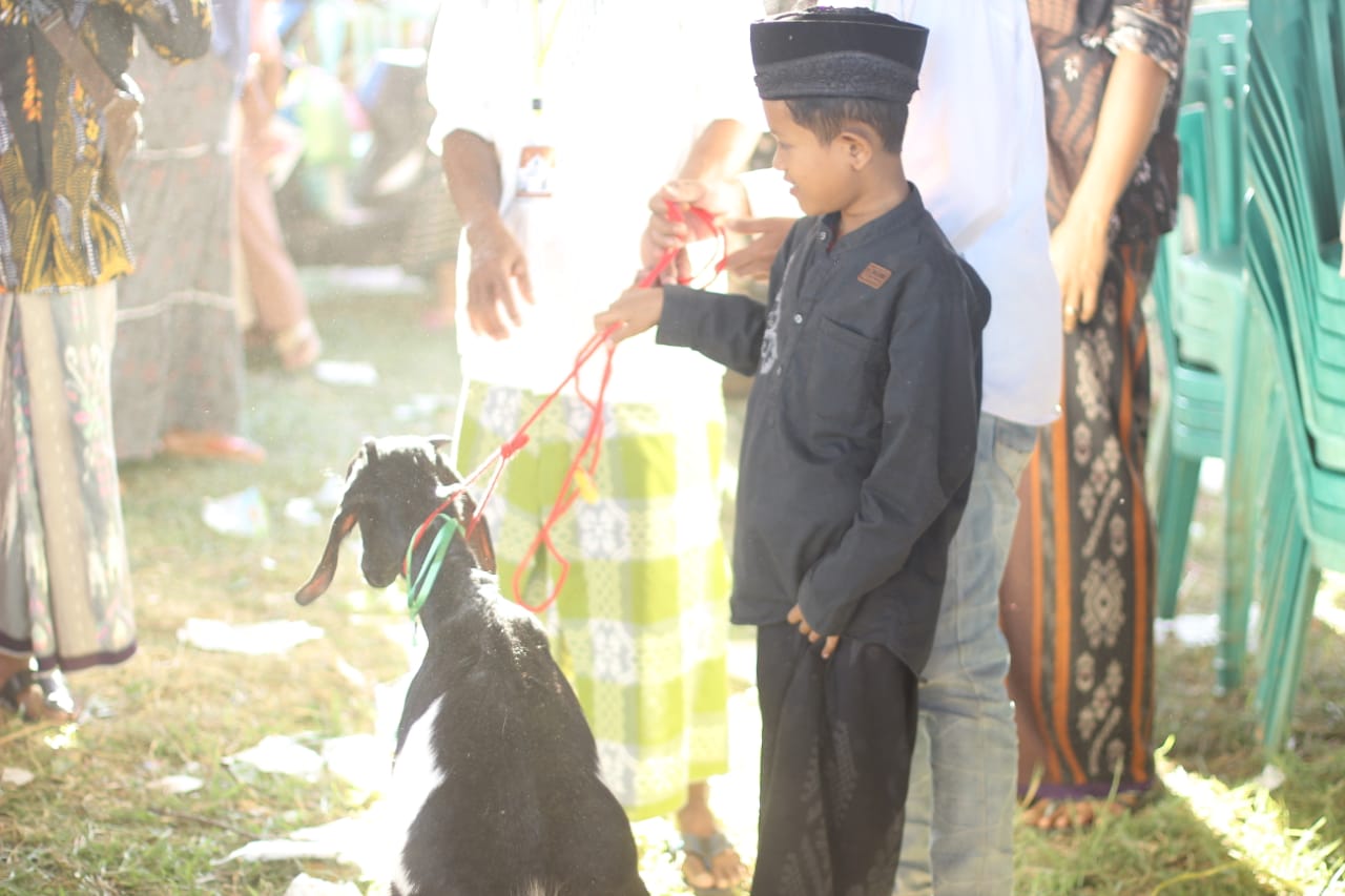 Bantuan Kambing dari Armi