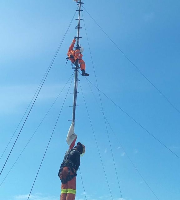 Petugas saat mengevakuasi ular diatas tower WiFi