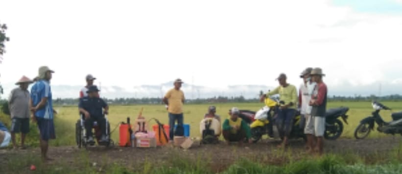 Kelompok Tani di Desa Waetele Lakukan Penyemprotan Hama 