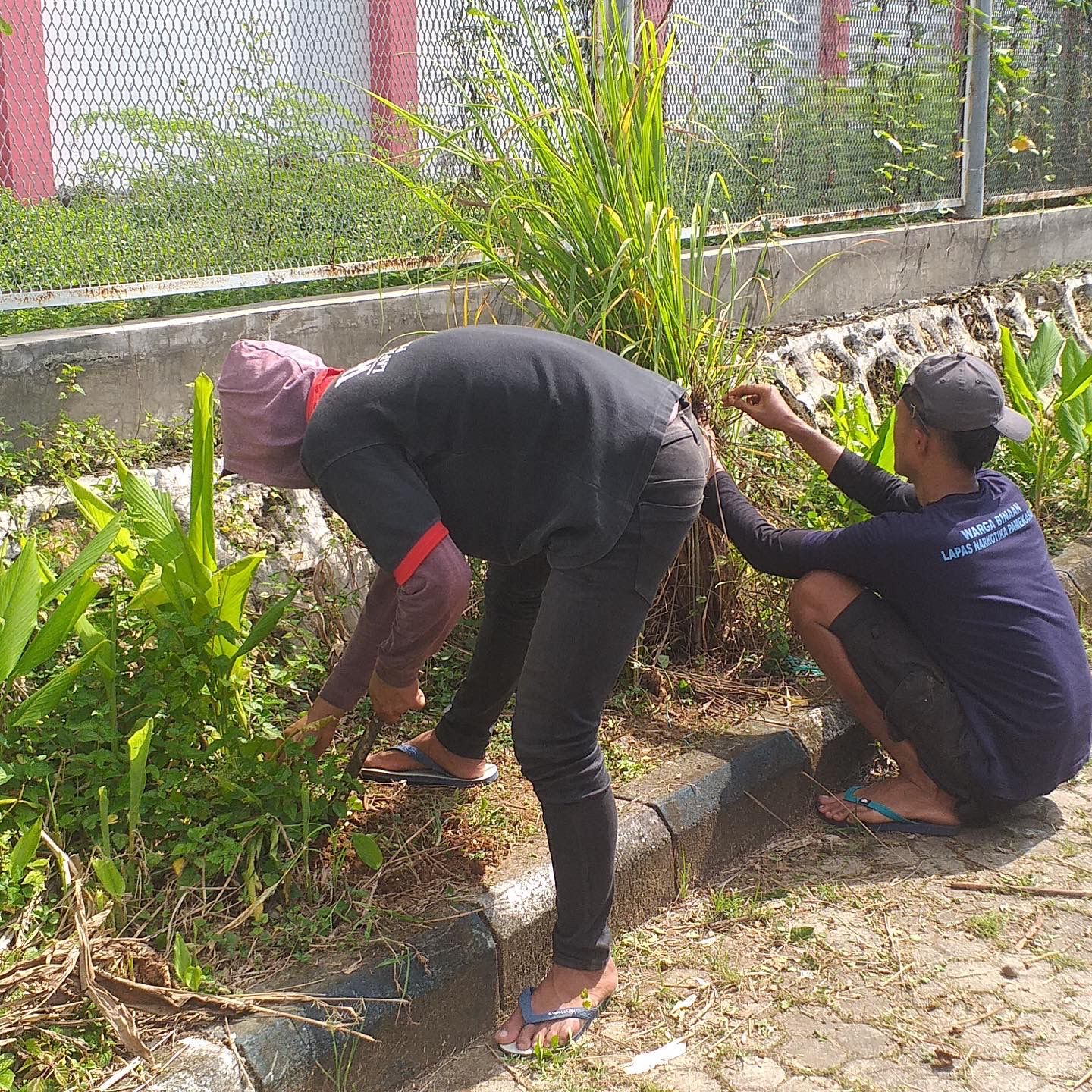 Warga Binaan Pemasyarakatan (WBP) melaksanakan giat kebersihan lingkungan 