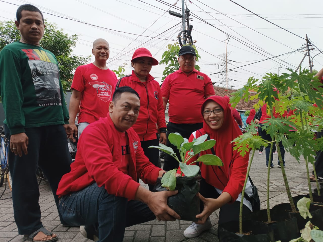 Tandur Tanaman Konsumsi di Rumah