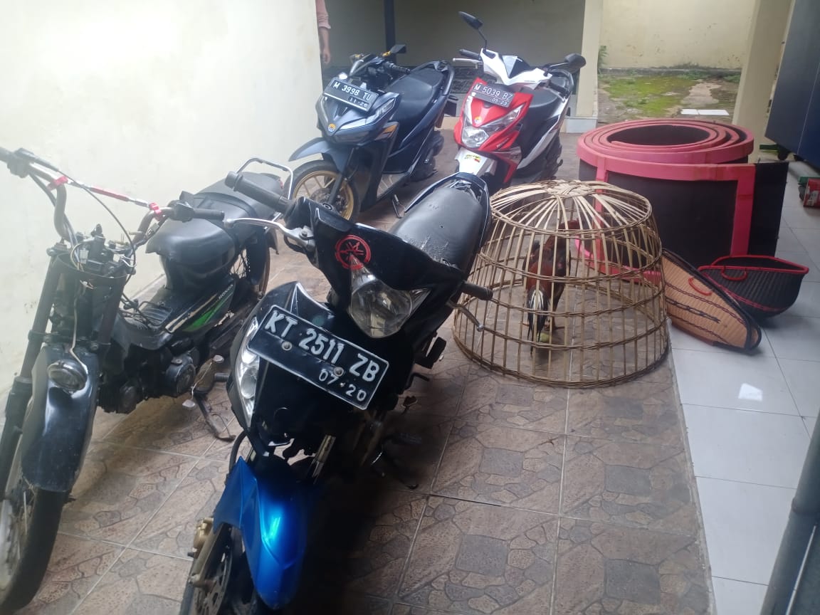 Barang bukti sabung ayam di Sumenep yang diamankan polisi