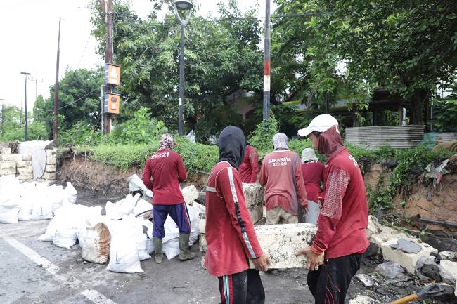 Pelapis tanggul jebol
