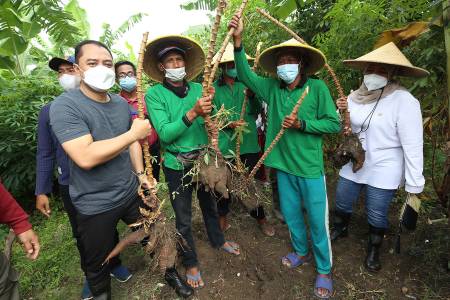Wali Kota Eri Targetkan Hasil Urban Farming Warga Penuhi 60 Persen