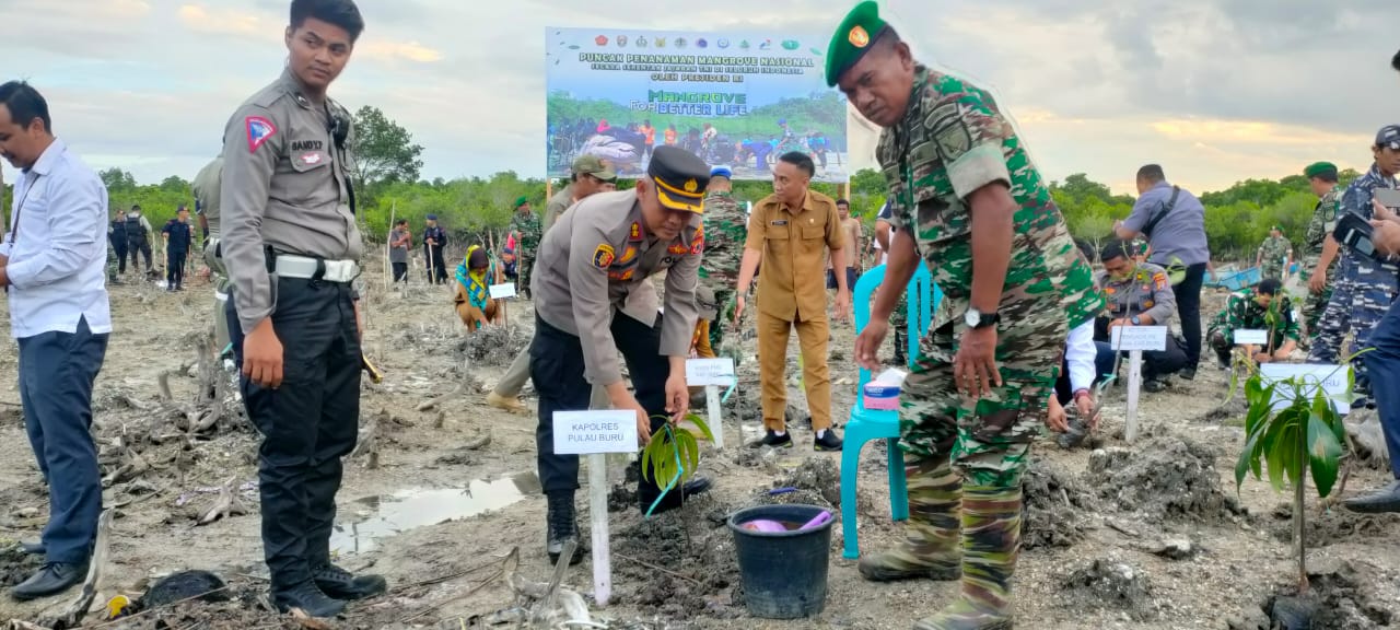 Penanaman mangrove Nasional secara serentak di Namlea 