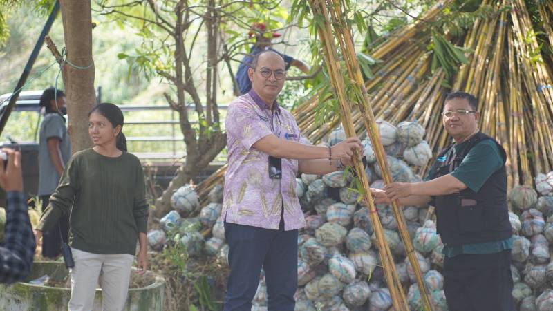 Pemkot Surabaya Tanam 1000 Pohon Bambu Kuning di Buffer Zone TPA