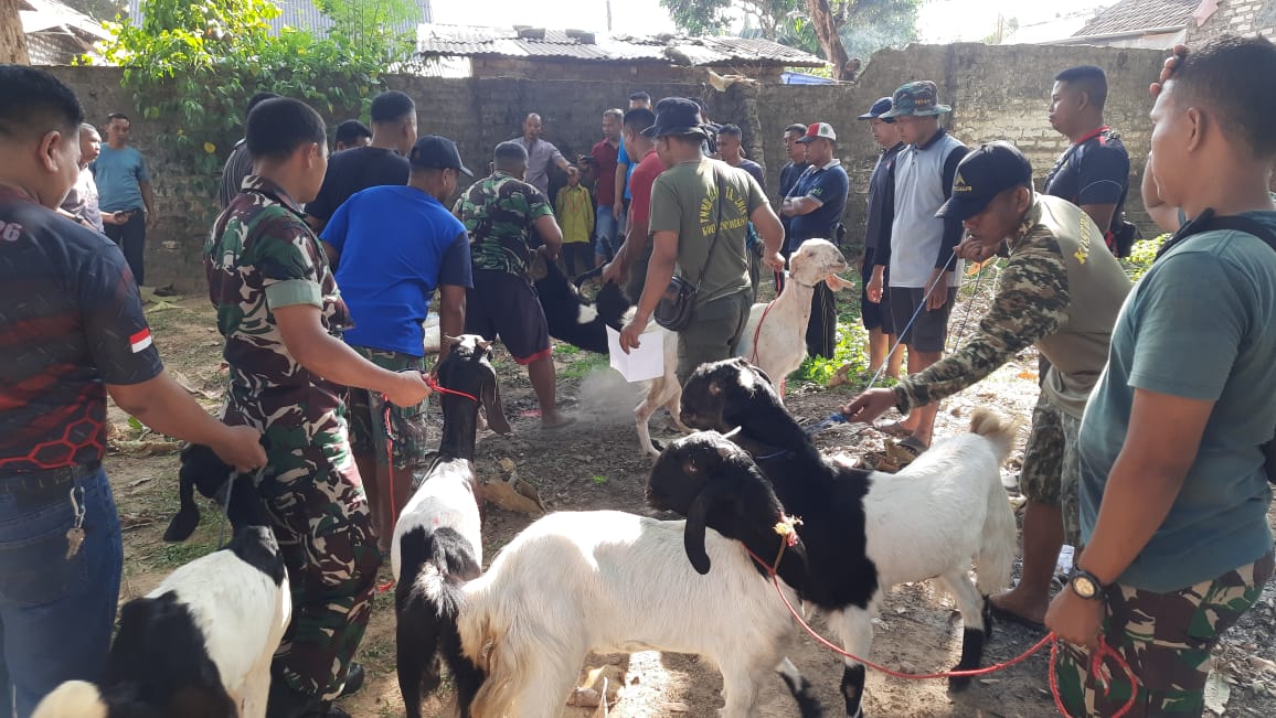 Kodim 0826/Pamekasan Qurban Dua Sapi dan 16 Kambing 
