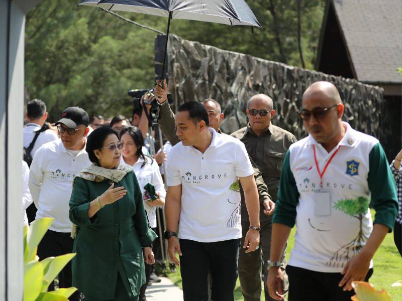 Megawati Resmikan Kebun Raya Mangrove Surabaya: Lokasi Wisata dan Edukasi Masyarakat