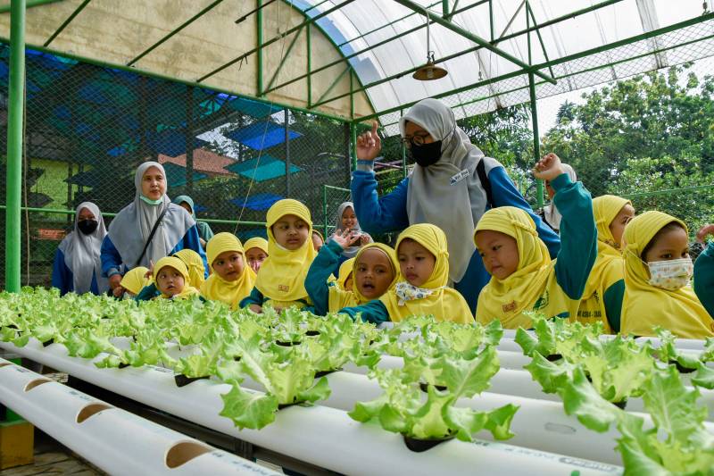 Pengunjung Mini Agrowisata 