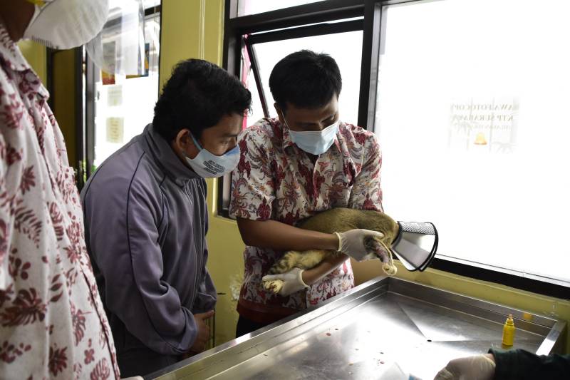 Klinik Hewan Secara Gratis 