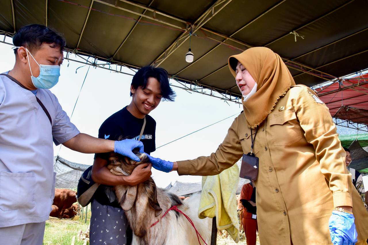Hewan Kurban di Surabaya Wajib Dilengkapi SKKH dan Rekomendasi DKPP