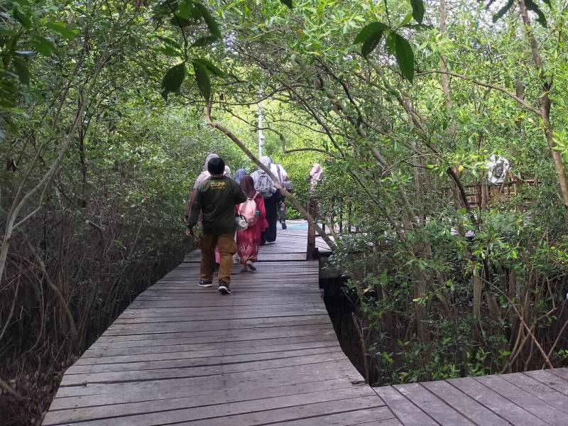 Pengunjung Kebun Raya Mangrove Surabaya Tembus 43 Ribu Orang 