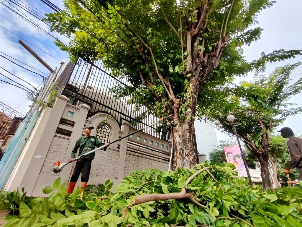 Pemkot Surabaya Setiap Hari Intensifkan Perantingan