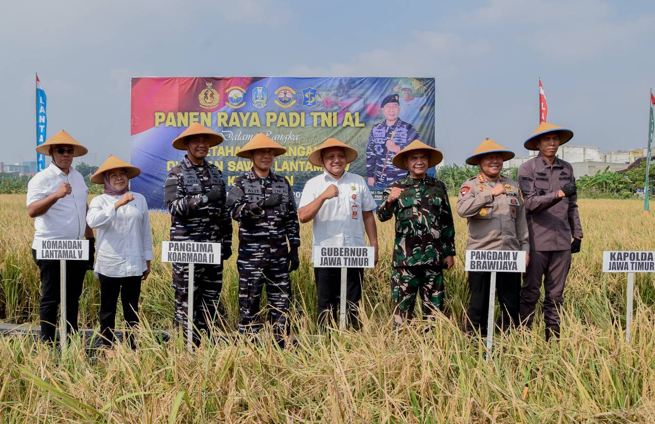 Pemkot Surabaya dan TNI AL Gelar Panen Raya Padi Serentak 